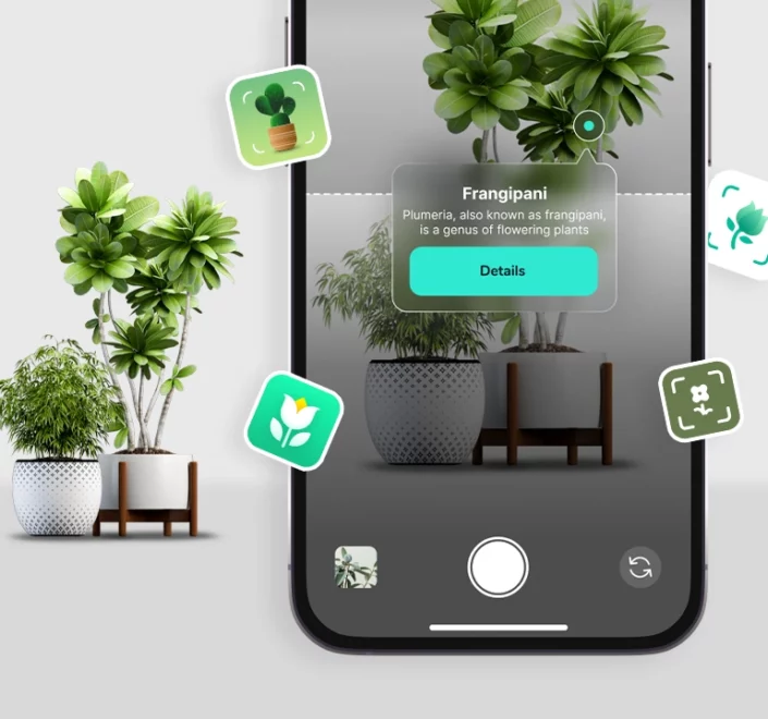 Best Plant Identifier App for iPhone