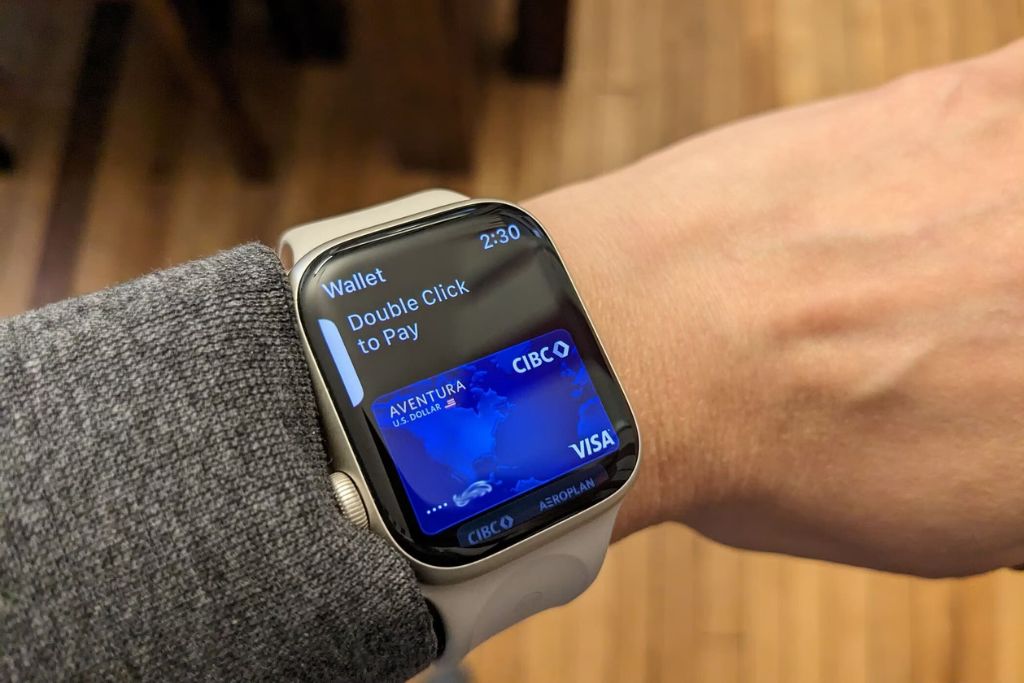Access Apple Pay from your wrist 