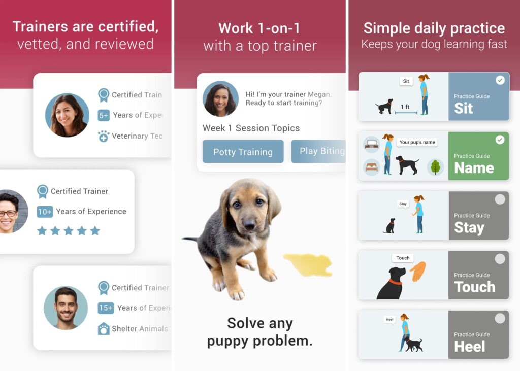 Goodpup Best Apps For Dog Training